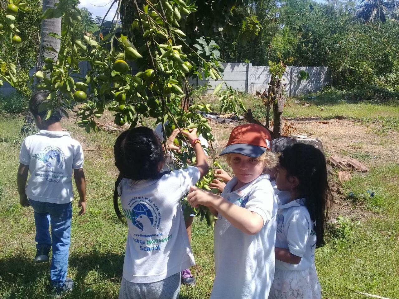 Buana Ecofarm Ecolodge Grokgak Ngoại thất bức ảnh
