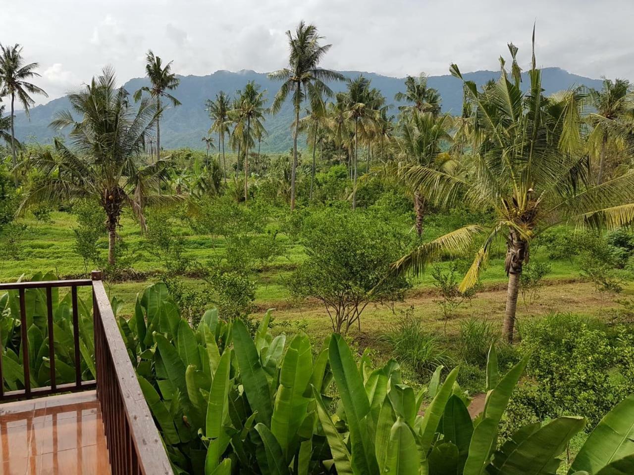 Buana Ecofarm Ecolodge Grokgak Ngoại thất bức ảnh