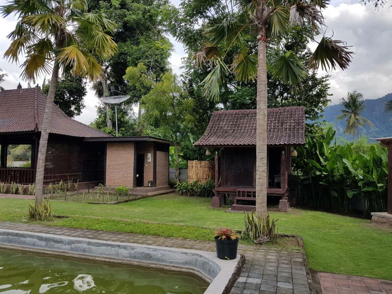Buana Ecofarm Ecolodge Grokgak Ngoại thất bức ảnh