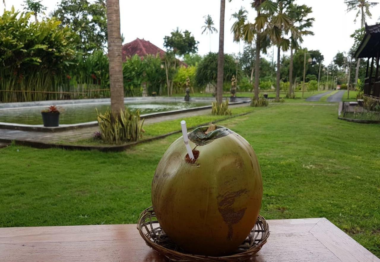 Buana Ecofarm Ecolodge Grokgak Ngoại thất bức ảnh